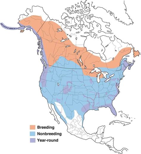 american eagle west county|Bald Eagle Population Estimates (For 49 U.S. States).